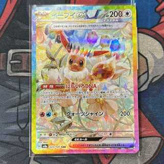 Eeveeex SAR 223/187 1枚