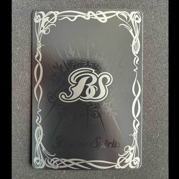 Sin Chronos Retinal X BSC47-X04 1枚