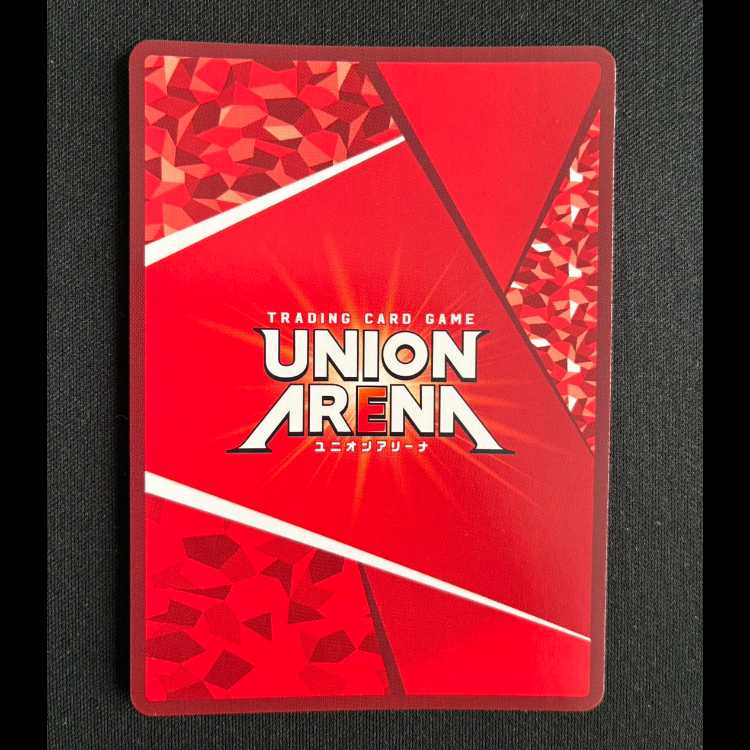 シオン SR UA07BT/TSK-1-056 1枚