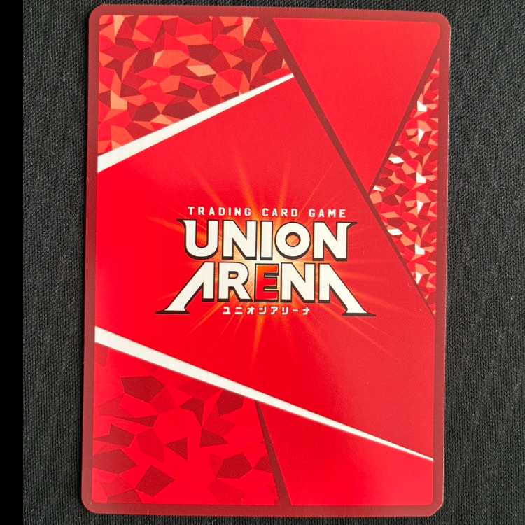 アーミヤ R UA30BT/ARK-1-041 1枚