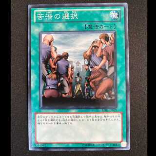 Painful Choice Normal JP029 1枚