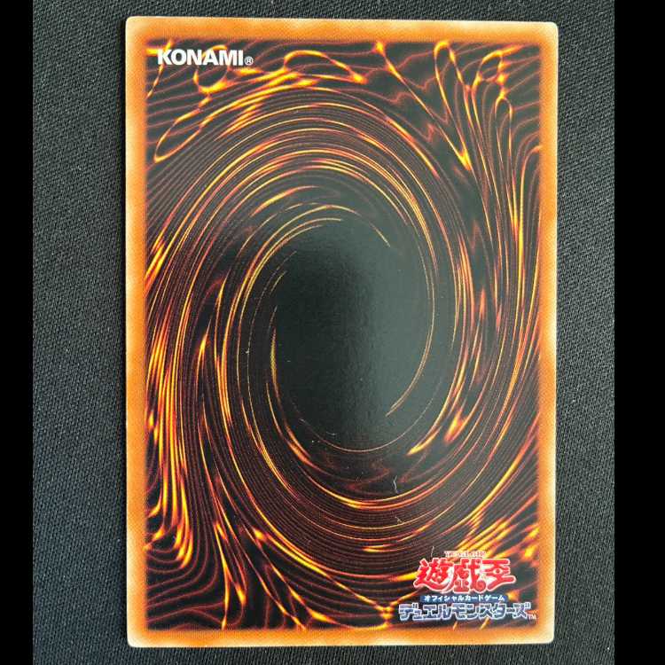 Painful Choice Normal JP029 1枚