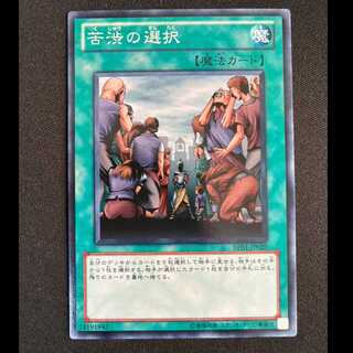 Painful Choice Normal JP029 1枚