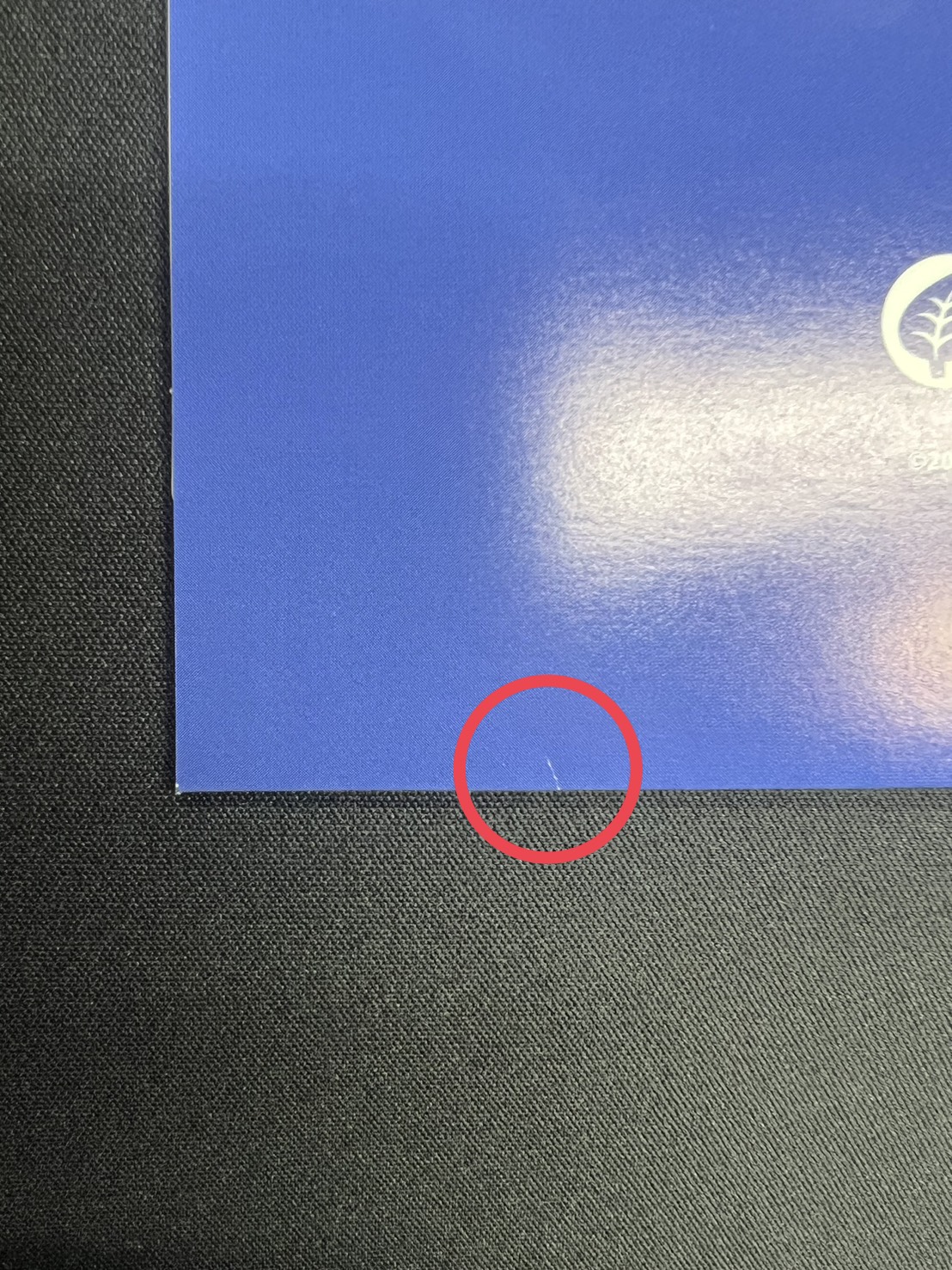 夏ポケカ(未開封/ブースターVMAX/シャワーズVMAX/サンダースVMAX/SA)【P】{186/S-P+187/S-P+188/S-P} 1枚