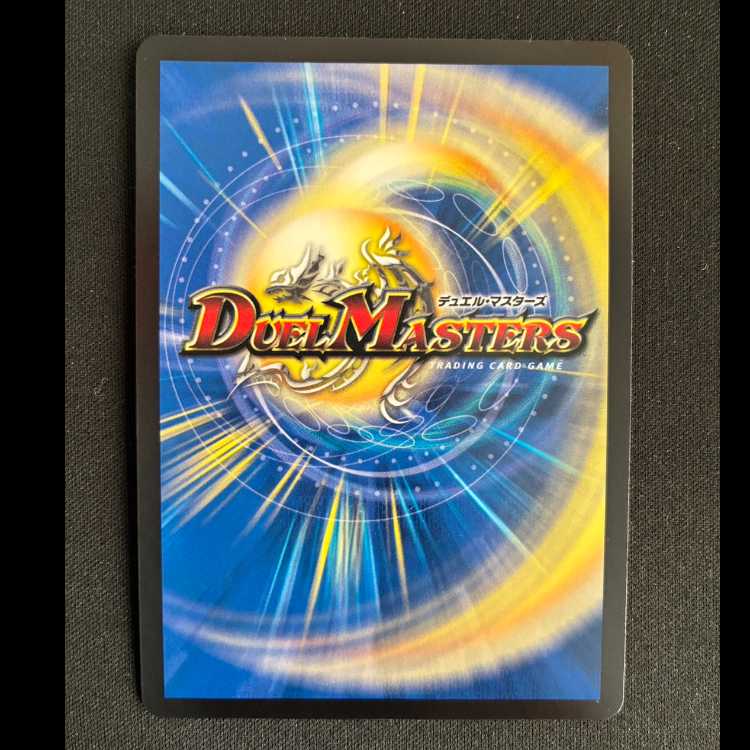 Severe Fire Great Sage Songkun (Secret Rare Spec.) VR 10A/20 1枚