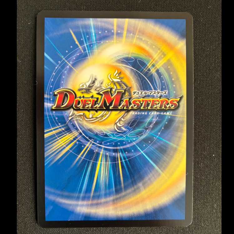 Severe Fire Great Sage Songkun (Secret Rare Spec.) VR 10A/20 1枚