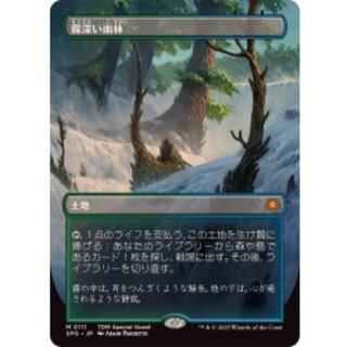 (フルアート)(0111)霧深い雨林/Misty Rainforest《日本語》【SPG】 1枚