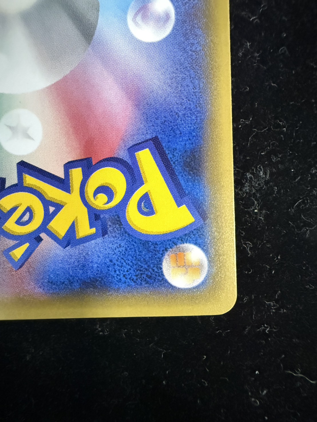 Pikachu in a poncho [State B] {231/XY-P} 1枚