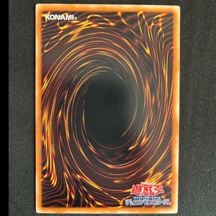 Polymerization Normal JP102 1枚