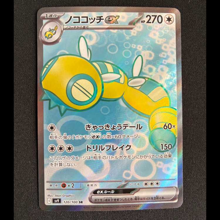Nokocotch ex SR 120/100 1枚