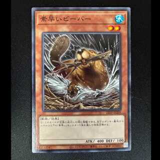 素早いビーバー ノーマルレア　22TP- JP209 1枚