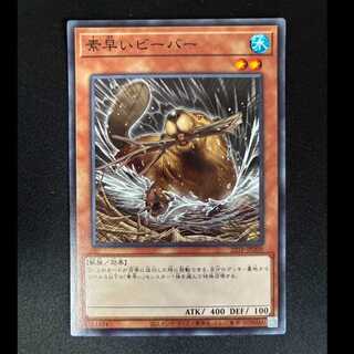 素早いビーバー ノーマルレア　22TP- JP209 1枚