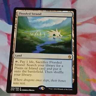 【MTG】溢れかえる岸辺(英)