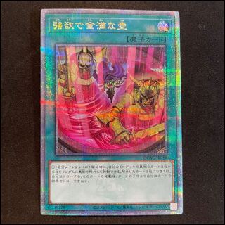 Pot of Extravagance (different picture) 25th QCAC-JP016 1枚