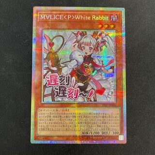 M∀LICE P WhiteRabbit 　プリズマ　STSP-JP006 1枚
