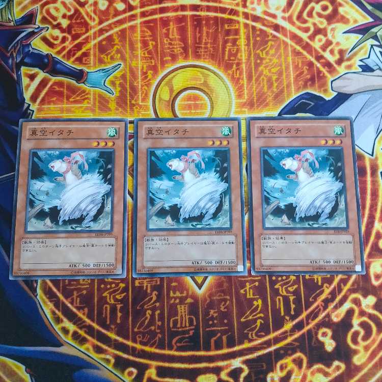 真空イタチ ノーマル JP205 3枚