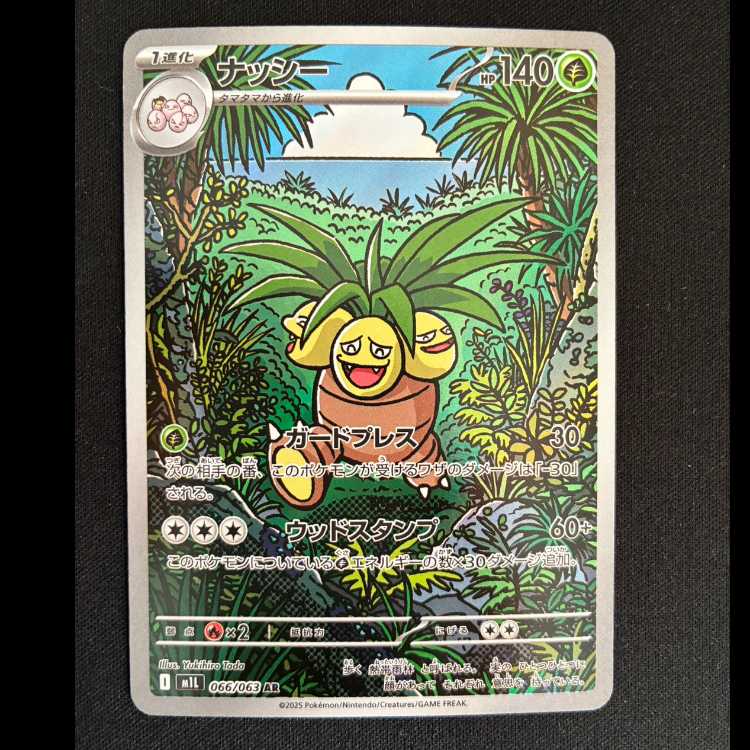 ナッシー AR 066/063 1枚