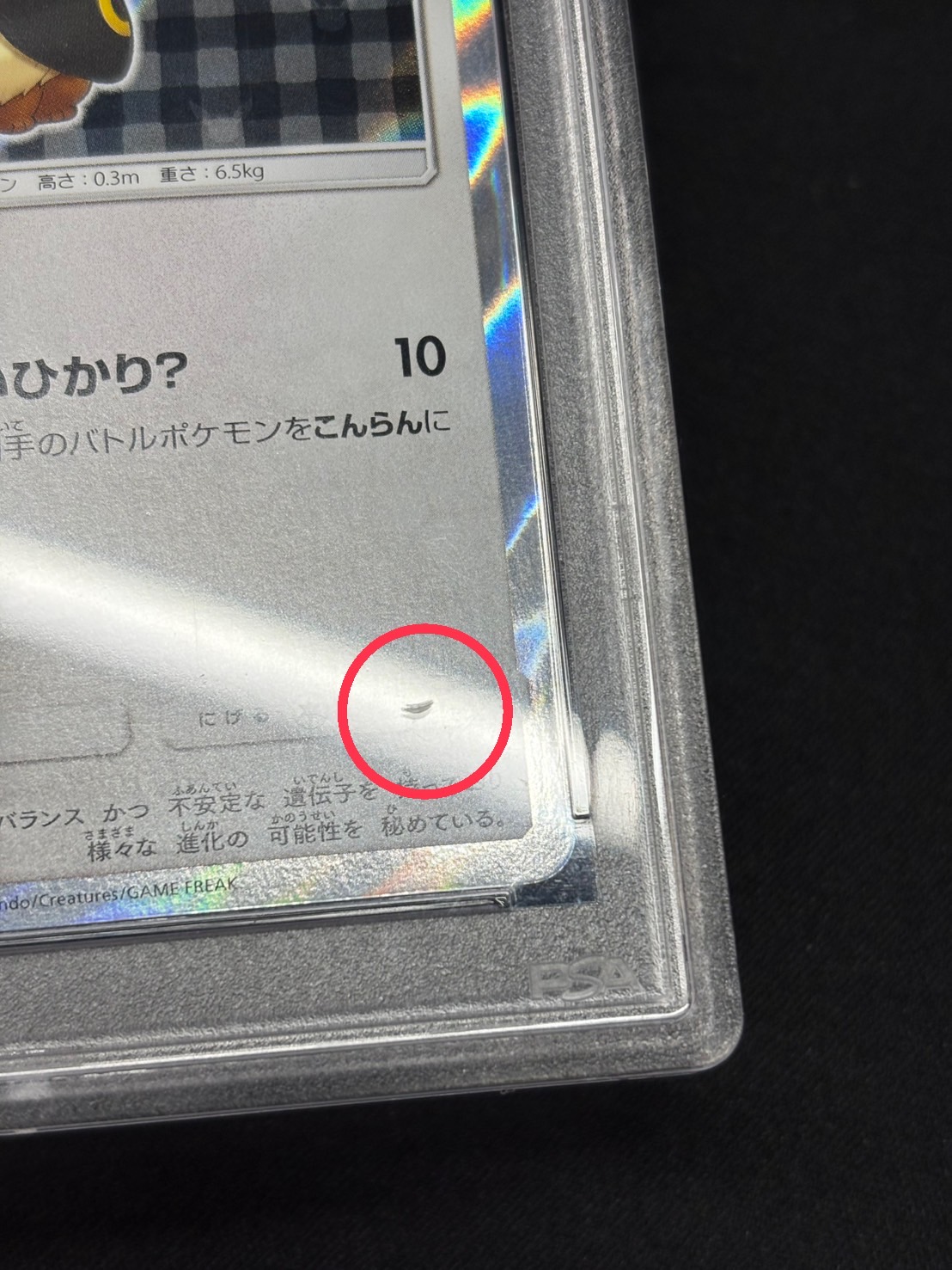 〔※状態難/PSA10鑑定済〕ポンチョを着たイーブイ(BK)【P】{141/SM-P} 1枚