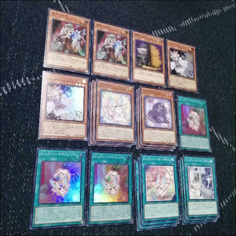 Yu-Gi-Oh Purely Deck Noir My Friend [04542]. 1枚