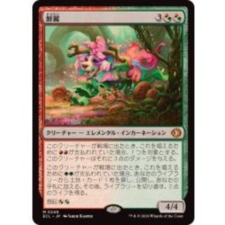 (FOIL)鮮麗/Vibrance《日本語》【ECL】 1枚