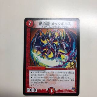 熱血龍メッタギルス