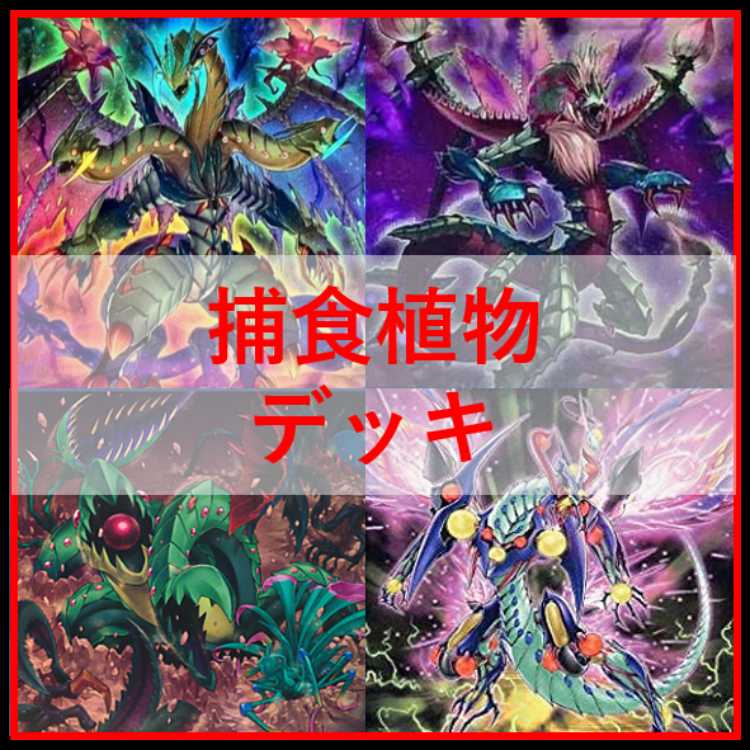 Yu-Gi-Oh Deck Prey Upon Plant Predator Plants Starve [04559]. 1枚