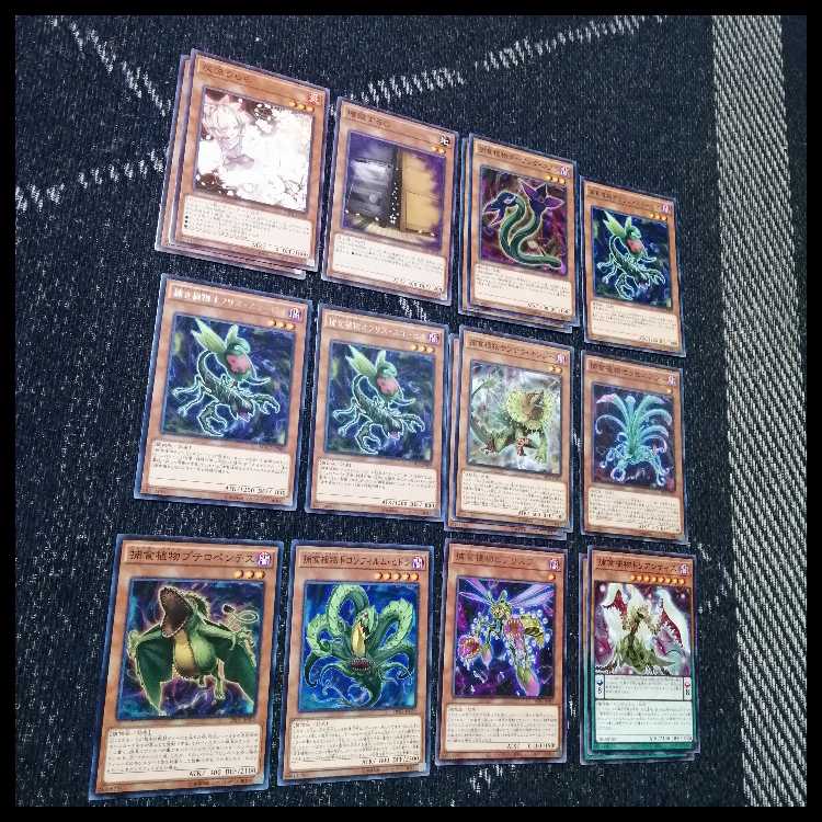 Yu-Gi-Oh Deck Prey Upon Plant Predator Plants Starve [04559]. 1枚