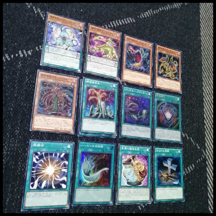 Yu-Gi-Oh Deck Prey Upon Plant Predator Plants Starve [04559]. 1枚