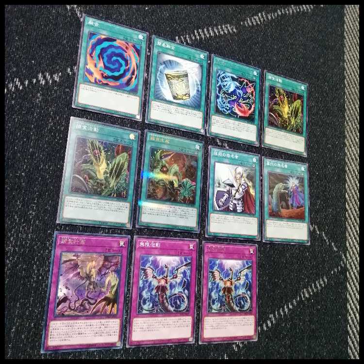 Yu-Gi-Oh Deck Prey Upon Plant Predator Plants Starve [04559]. 1枚