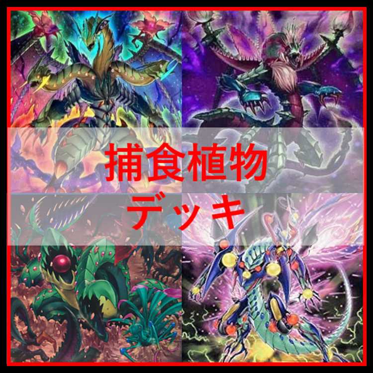 遊戯王　デッキ　捕食植物　プレデター・プランツ　スターヴ　[04570] 1枚