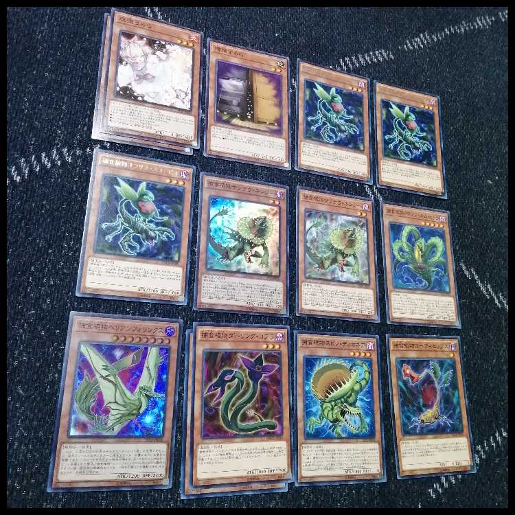 遊戯王　デッキ　捕食植物　プレデター・プランツ　スターヴ　[04570] 1枚