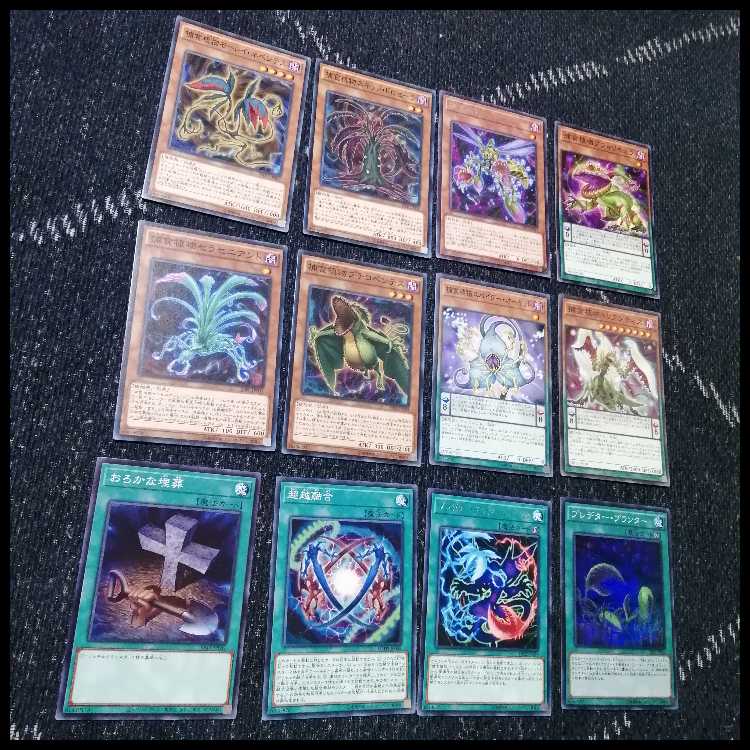 遊戯王　デッキ　捕食植物　プレデター・プランツ　スターヴ　[04570] 1枚