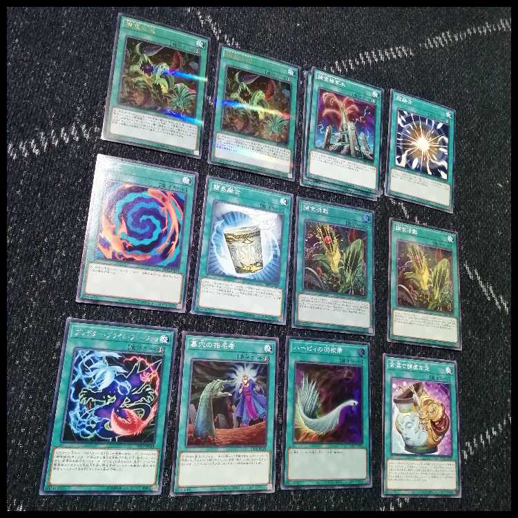 遊戯王　デッキ　捕食植物　プレデター・プランツ　スターヴ　[04570] 1枚