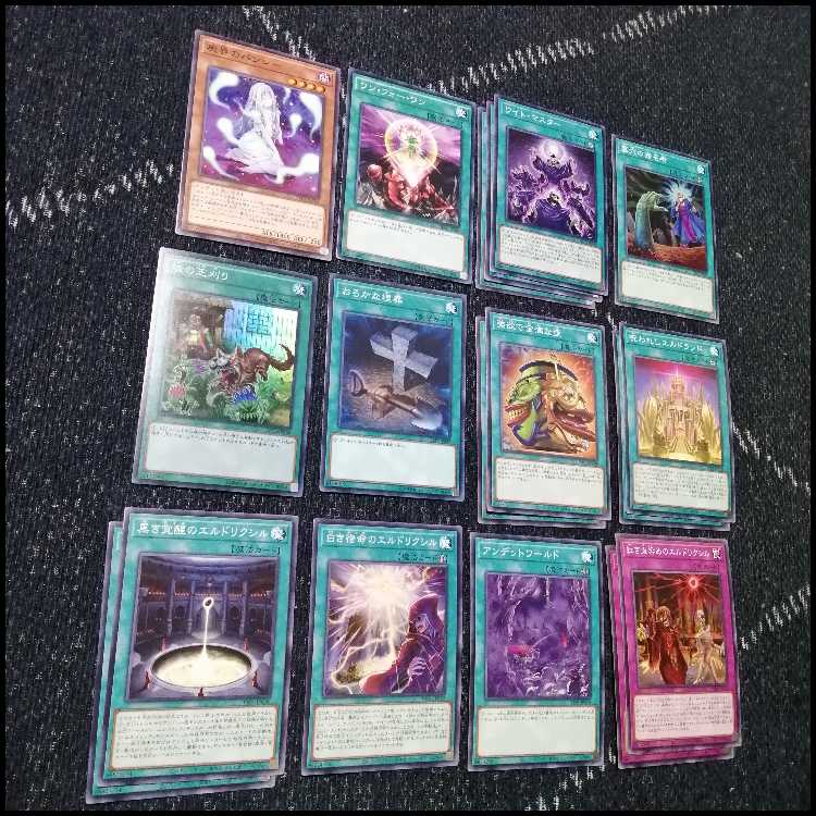 遊戯王　芝刈り　ワイト　デッキ　ワイトプリンス　ワイトメア　[04563] 1枚