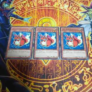 Wattsquirrel rare JP029 3枚