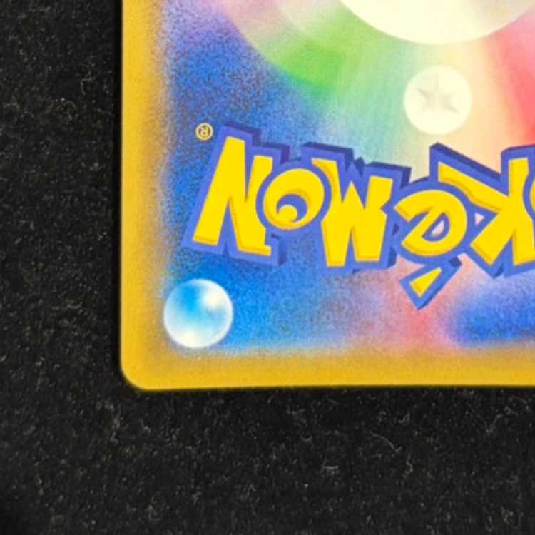 Rosa SR 067/049 1枚