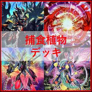 Yu-Gi-Oh Deck Prey Upon Plant Predator Plants Starve [04575]. 1枚