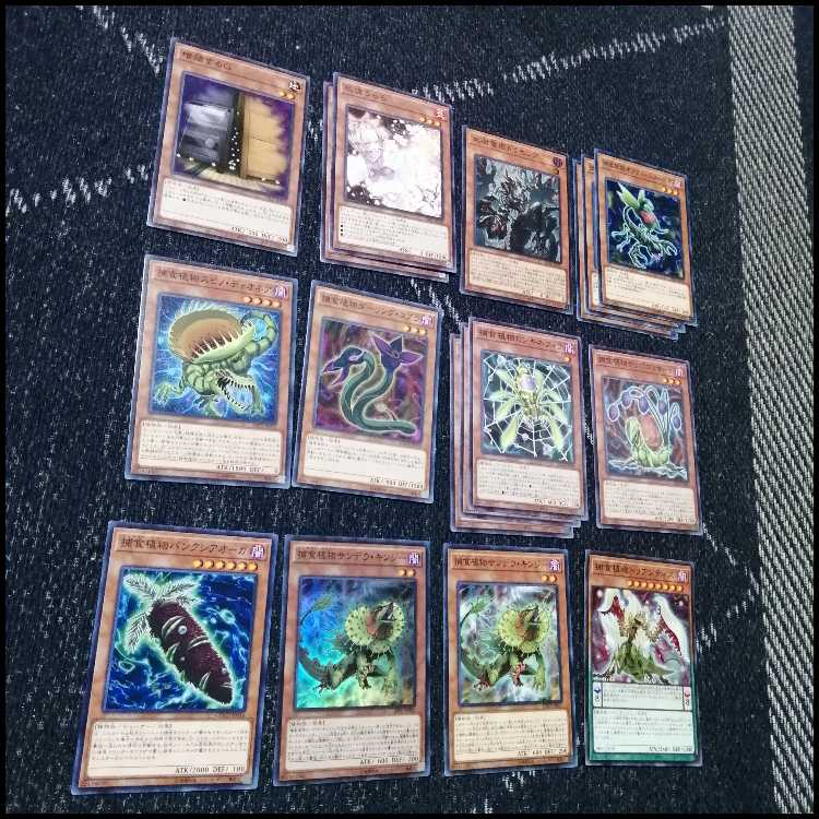 遊戯王　デッキ　捕食植物　プレデター・プランツ　スターヴ　[04575] 1枚