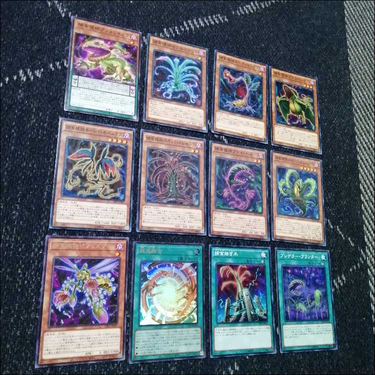 遊戯王　デッキ　捕食植物　プレデター・プランツ　スターヴ　[04575] 1枚