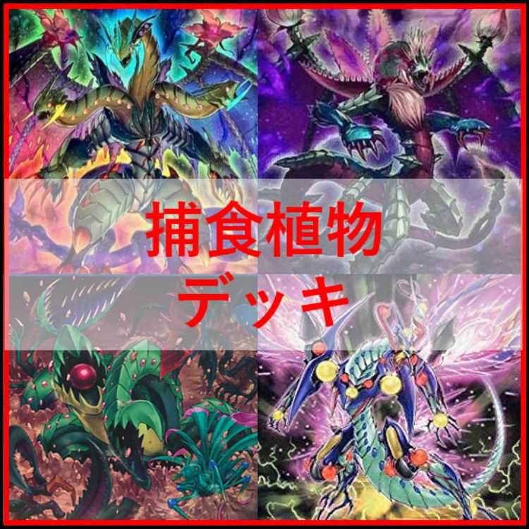 遊戯王　デッキ　捕食植物　プレデター・プランツ　スターヴ　[04573] 1枚