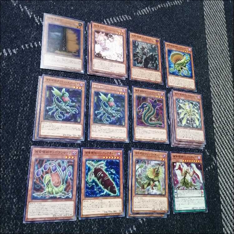 遊戯王　デッキ　捕食植物　プレデター・プランツ　スターヴ　[04573] 1枚