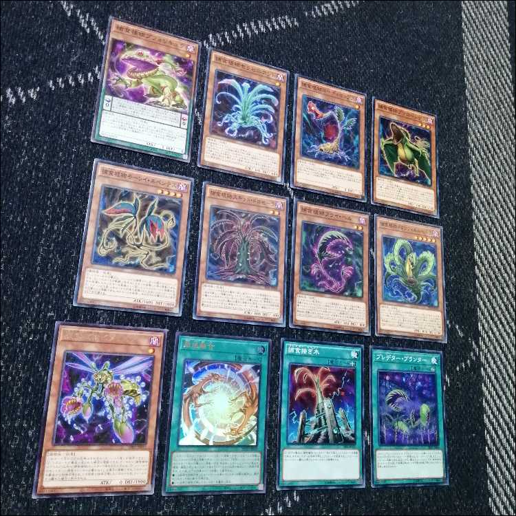 遊戯王　デッキ　捕食植物　プレデター・プランツ　スターヴ　[04573] 1枚