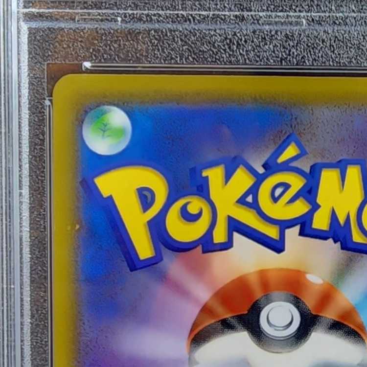 PSA10] Sightseer SR 192/173 1枚