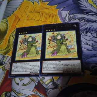 ティーチャーマドルチェ・グラスフレ R