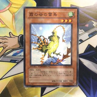 霞の谷の雷鳥 P-N DT 1枚