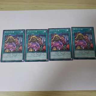 烏合の行進 N4枚