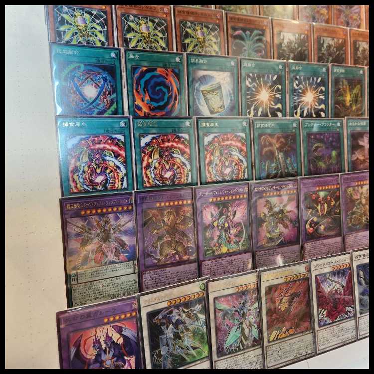 Mountain Store Fast Shipping Prey Upon Plant Deck Stave Venom Wing Dragon Predaplant Ophrys Scorpio Psychic逸Polymerization 1枚