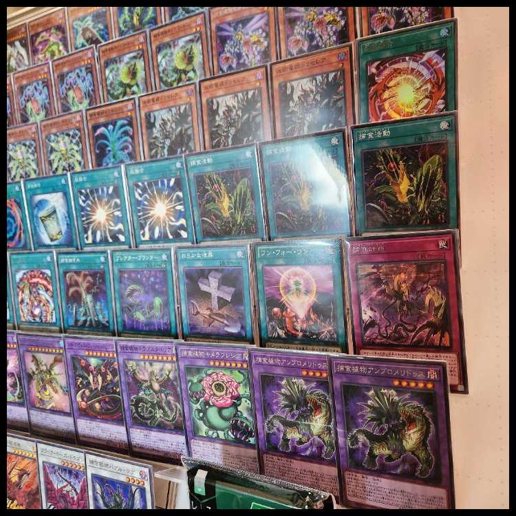 Mountain Store Fast Shipping Prey Upon Plant Deck Stave Venom Wing Dragon Predaplant Ophrys Scorpio Psychic逸Polymerization 1枚