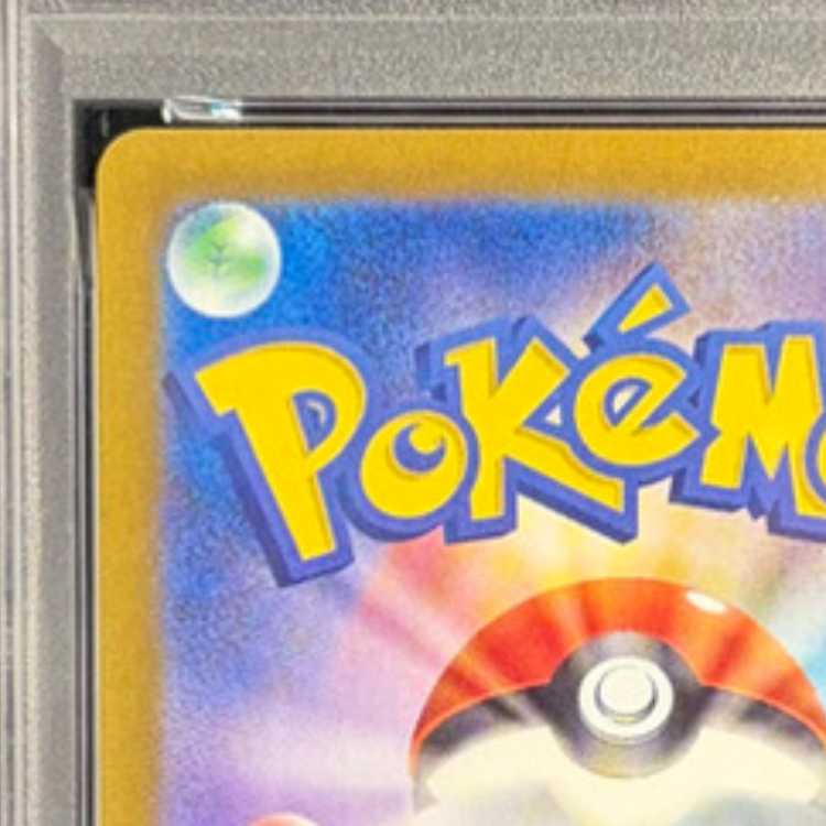 [PSA10] Greninjaex SAR 090/066 1枚