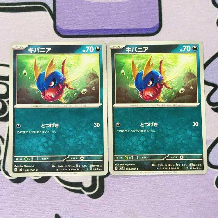 キバニア C 050/080 2枚